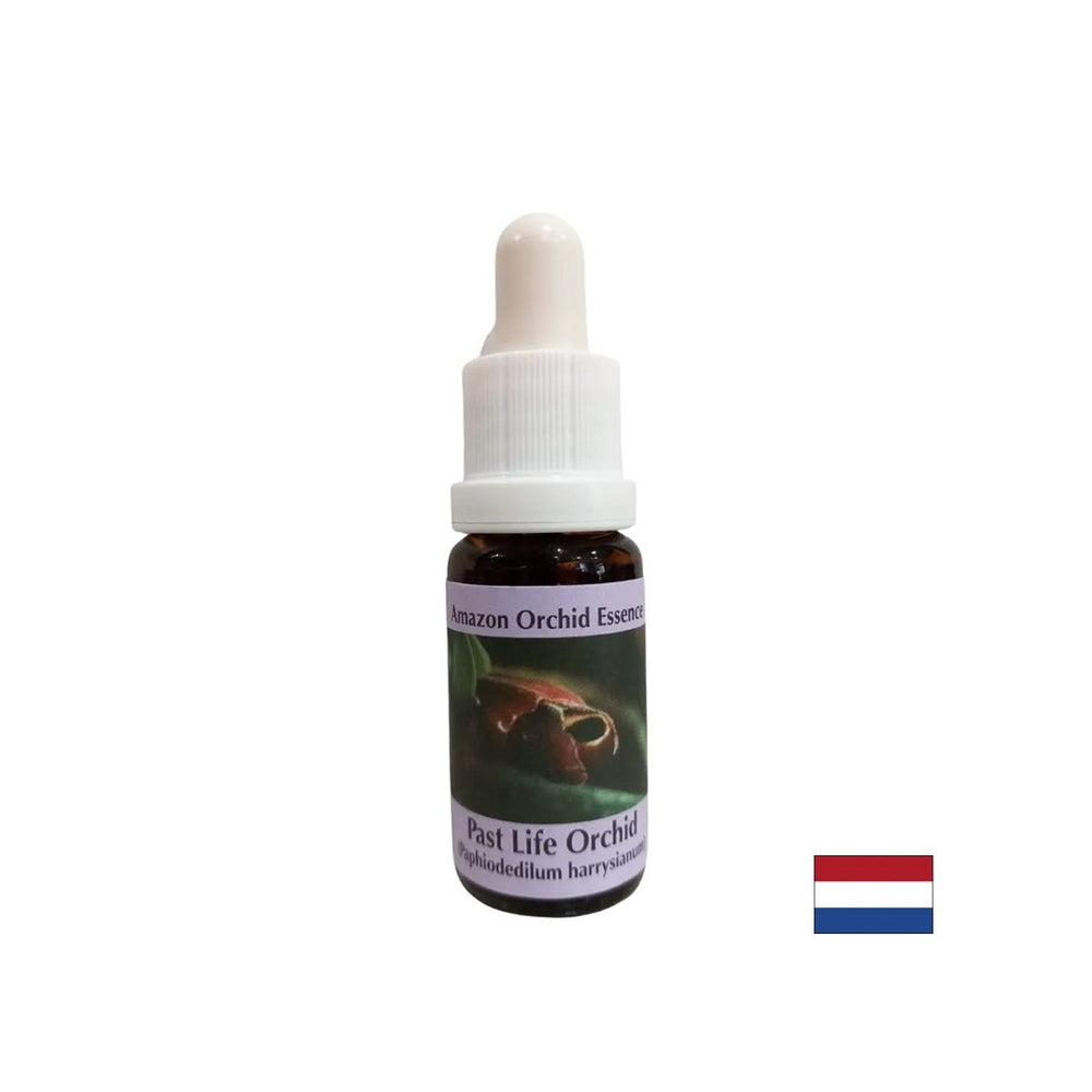 Uvedomenie si prítomnosti prostredníctvom lekcií minulosti - Orchid Essence Minulý život č. 16, klesne 15 ml