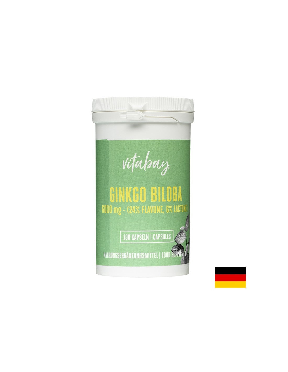 Pamäť a koncentrácia - Ginkgo Biloba, 6000 mg x 180 kapsúl