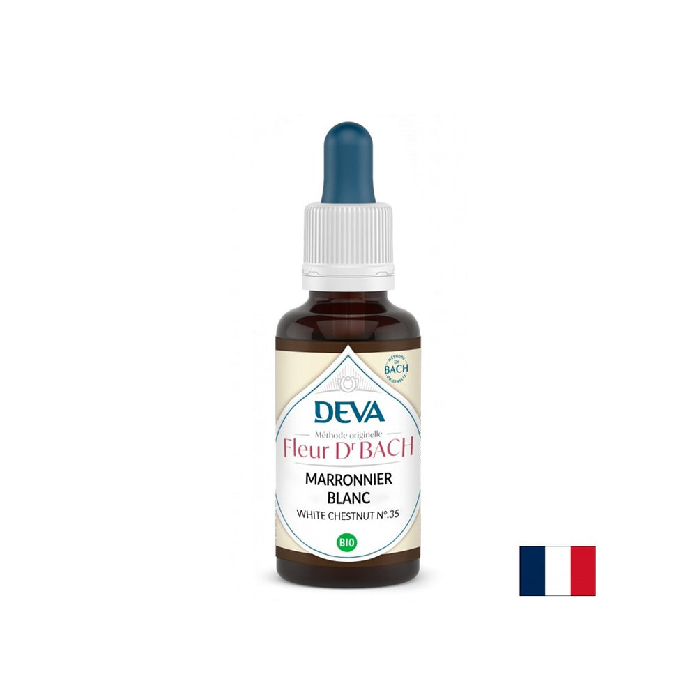 Pamäť a koncentrácia - koňský gaštan, Bach kvapky č. 35, 15 ml