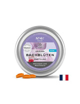Dr. Bach pastilky - N°41 Focus, 50 g (~ 40 kusov) <tc>Lemon Pharma</tc>