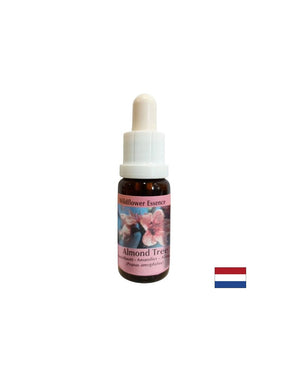 Rejuvenates the body and stimulates healthy eating - Almond Essence No. 31, drops 15 ml - Nutra Best Europe