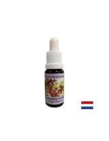 Pomáha médiám pri prenose duchovných správ - usmerňovanie esencie orchideí č. 5, 15 ml kvapky