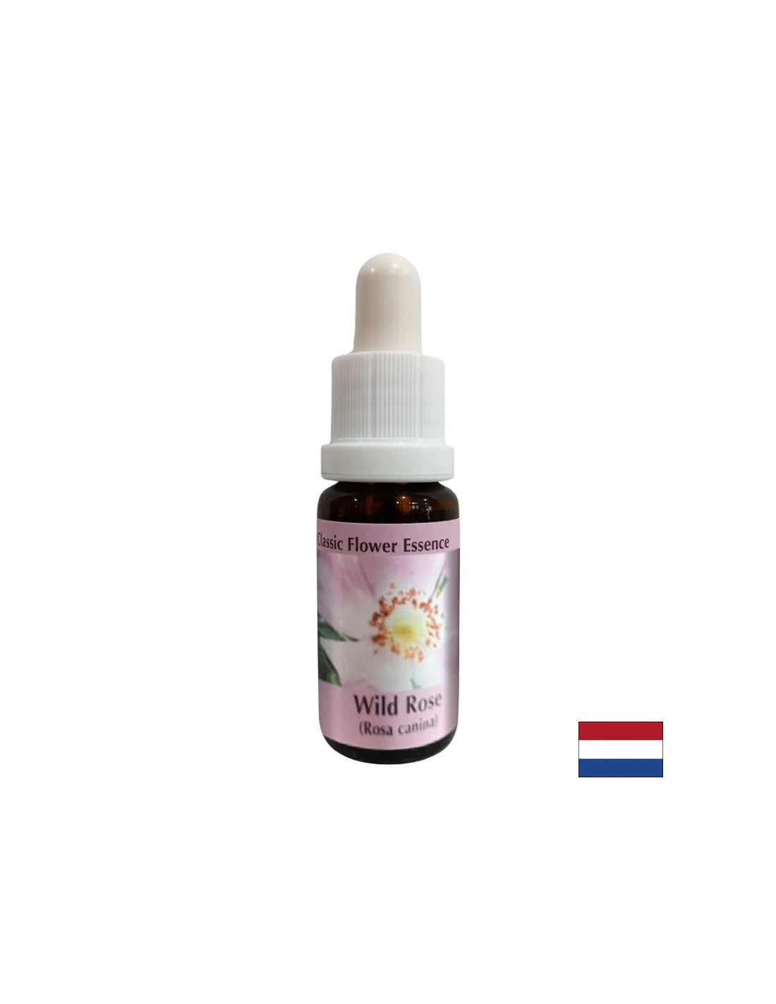 Zvyšuje aktivitu a motiváciu - Rosehip Essence č. 37, klesne 15 ml