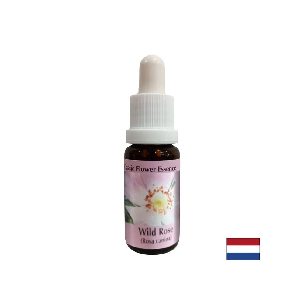 Zvyšuje aktivitu a motiváciu - Rosehip Essence č. 37, klesne 15 ml