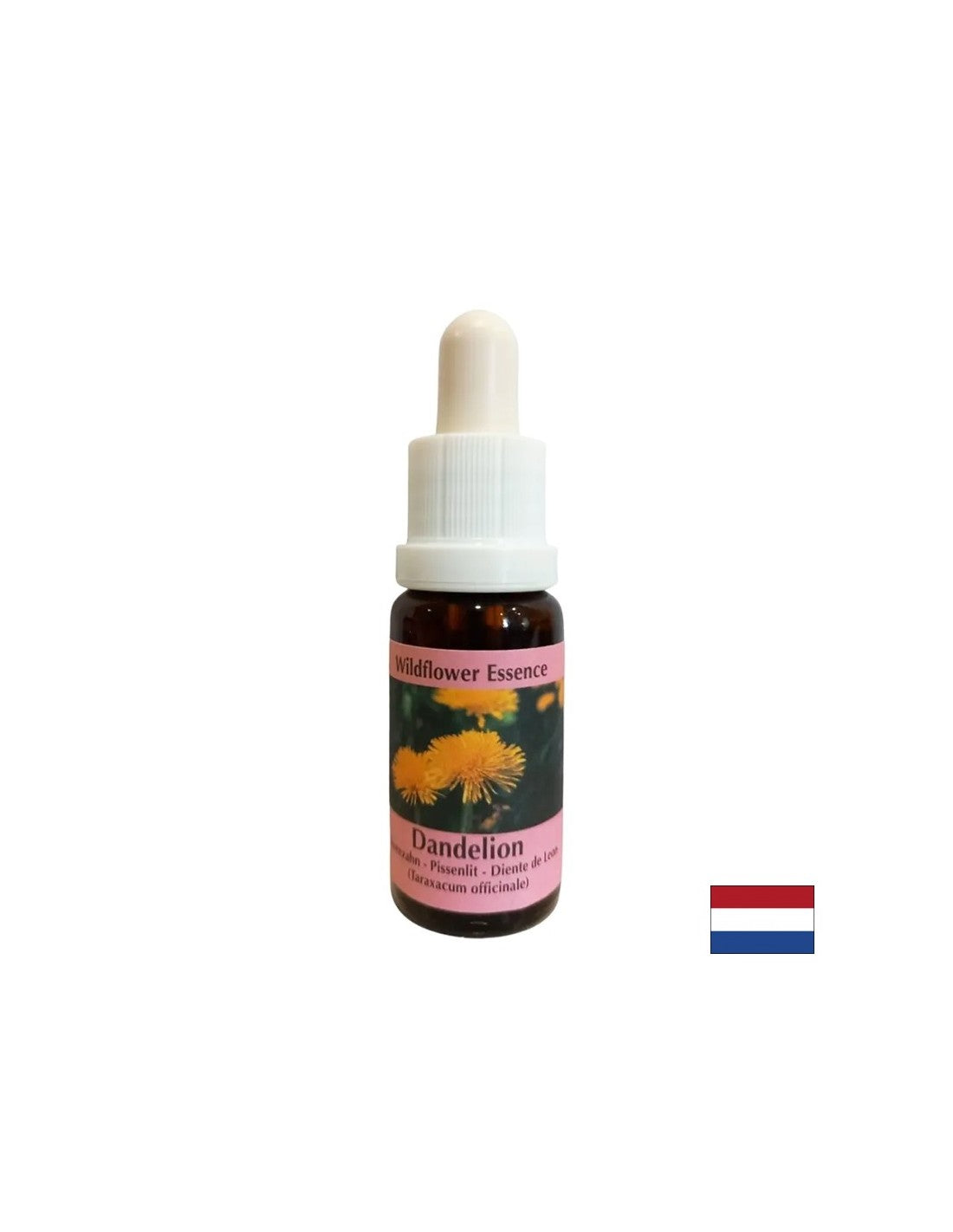 Odstraňuje napätie z konfliktov - púpava Essence č. 11, klesne 15 ml