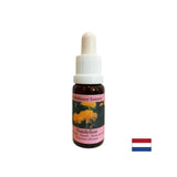 Odstraňuje napätie z konfliktov - púpava Essence č. 11, klesne 15 ml