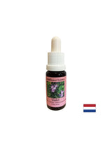 Prekonáva nepohodlie odmietnutia a osamelosti - Essence Fiber Violet No. 18, klesne 15 ml