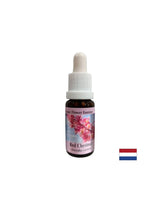 Keď sa obávate o ostatných - Essence Red Horse Gaštan č. 25, klesne 15 ml