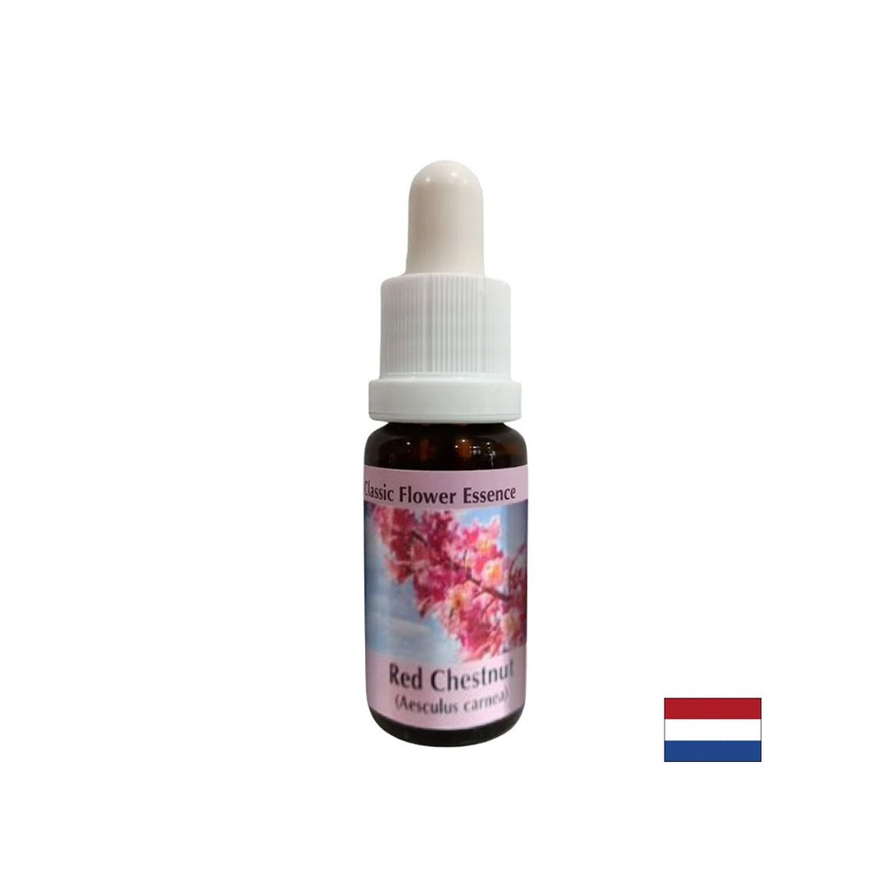 Keď sa obávate o ostatných - Essence Red Horse Gaštan č. 25, klesne 15 ml