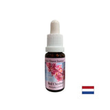 Keď sa obávate o ostatných - Essence Red Horse Gaštan č. 25, klesne 15 ml