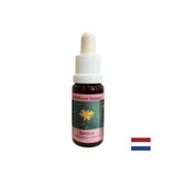 Pre zranenia a šok - Arnica Essence č. 22, klesne 15 ml