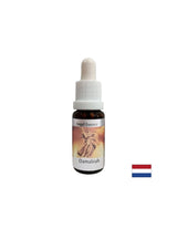 Pre problémy so vzťahom - Damabia Essence (Angel Essence č. 5), klesá 15 ml