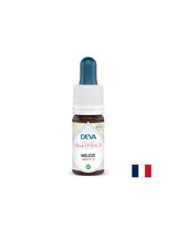 Pre strach a neistotu - Larch, Bach klesne č. 19, 15 ml