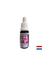 Rozširuje vedomie a zlepšuje komunikáciu - Angel Orchid Essence č. 3, klesne 15 ml