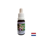 Vytvára náladu a radosť - Essence veselá orchidea č. 11, kvapky 15 ml