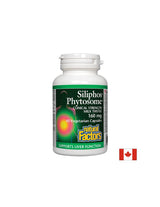 Prémiové mlieko bodliak / Silipos fytozóm 160 mg - 60 kapsúl