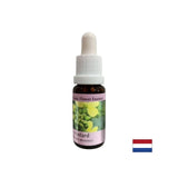 Proti negatívnym myšlienkam a depresii - Essence Sinap č. 21, klesne 15 ml