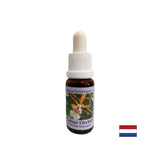 Stimuluje pozitívny prístup k životu - farebná orchidea č. 7, klesá 15 ml