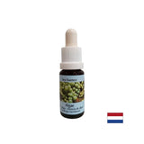Stimuluje samoliečanie - Essence rias č. 1, klesá 15 ml