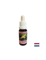 Stimuluje vedomú zmenu - biela imelo Essence č. 12, kvapky 15 ml