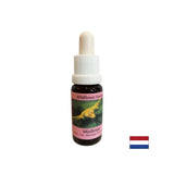 Stimuluje vedomú zmenu - biela imelo Essence č. 12, kvapky 15 ml