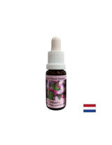 Stimuluje vôľu - St. John's Wort Essence č. 4, klesne 15 ml