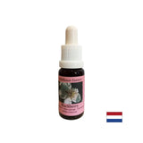 Stimuluje vitalitu a aktivuje kreativitu - BlackBerry Essence č. 22, klesá 15 ml