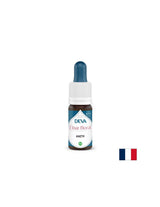 Pre mentálnu jasnosť a rovnováhu v podmienkach senzorického preťaženia - fenikel, bach kvapky, 15 ml