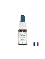 Strach a neistota - Janka, Bach Drops, 15 ml