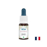 Strach a neistota - Janka, Bach Drops, 15 ml