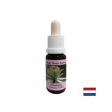 Spája vnútorný svet s realitou - Essence POVet č. 9, klesne 15 ml