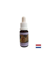 Transformácie blokovanej energie v Crown Chakra - Acineta Essence č. 1, klesne 15 ml