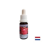 Premení sebectvo na lásku - Essence Orchid Heart Essence č. 12, klesne 15 ml