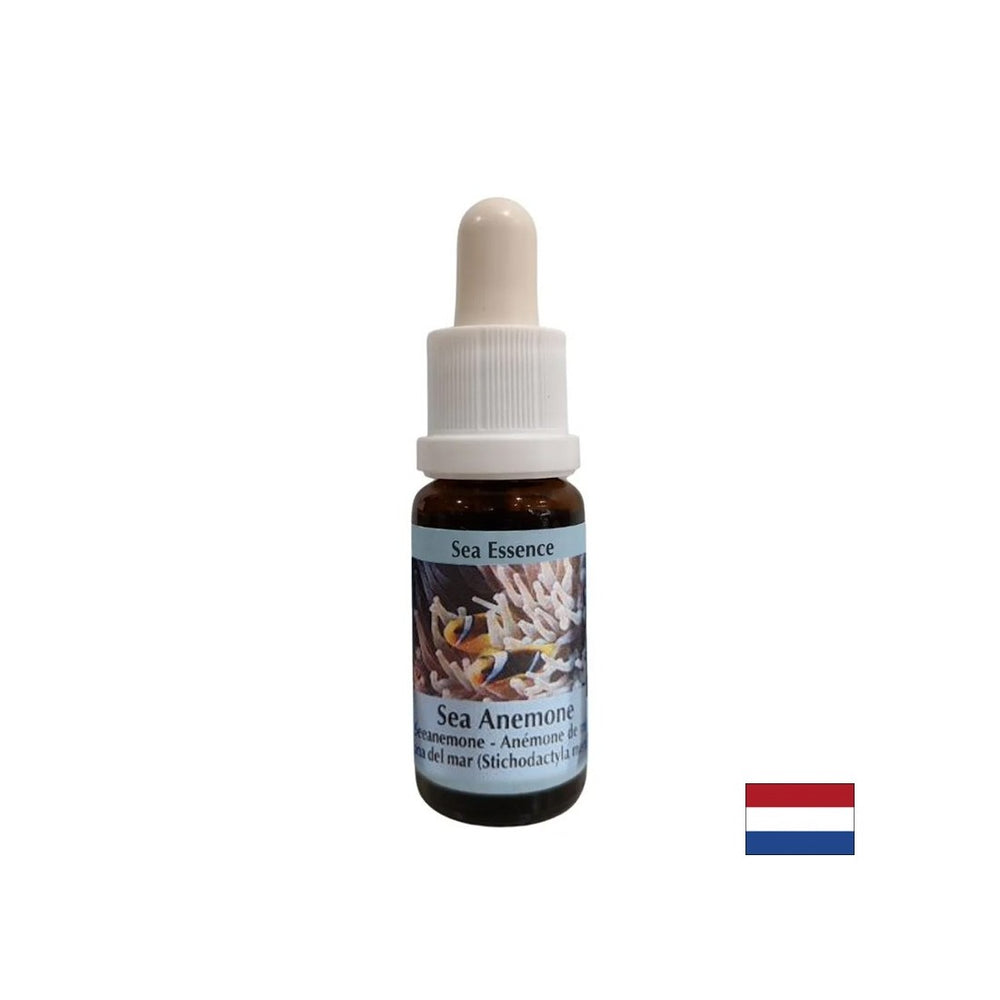 Posilňuje súdržnosť a čistotu pri výbere partnera - Essence Anemone Essence č. 6, klesne 15 ml