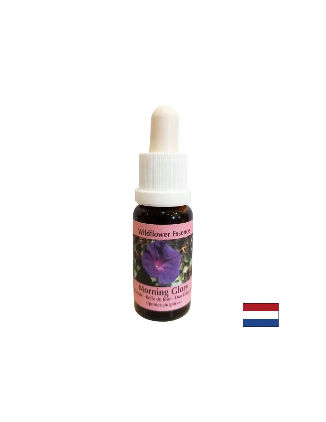 Upokojuje úzkosť a eradikuje negatívne návyky - esencia gramofónu č. 34, klesne 15 ml