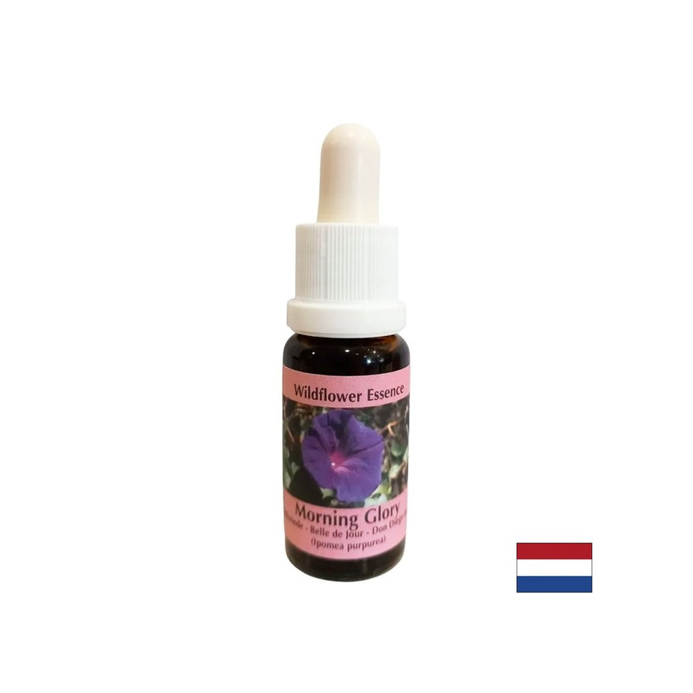Upokojuje úzkosť a eradikuje negatívne návyky - esencia gramofónu č. 34, klesne 15 ml