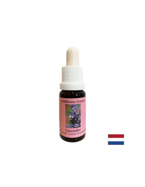 Calms and integrates the spiritual into everyday life - Lavender Essence No. 30, 15 ml drops - Nutra Best Europe