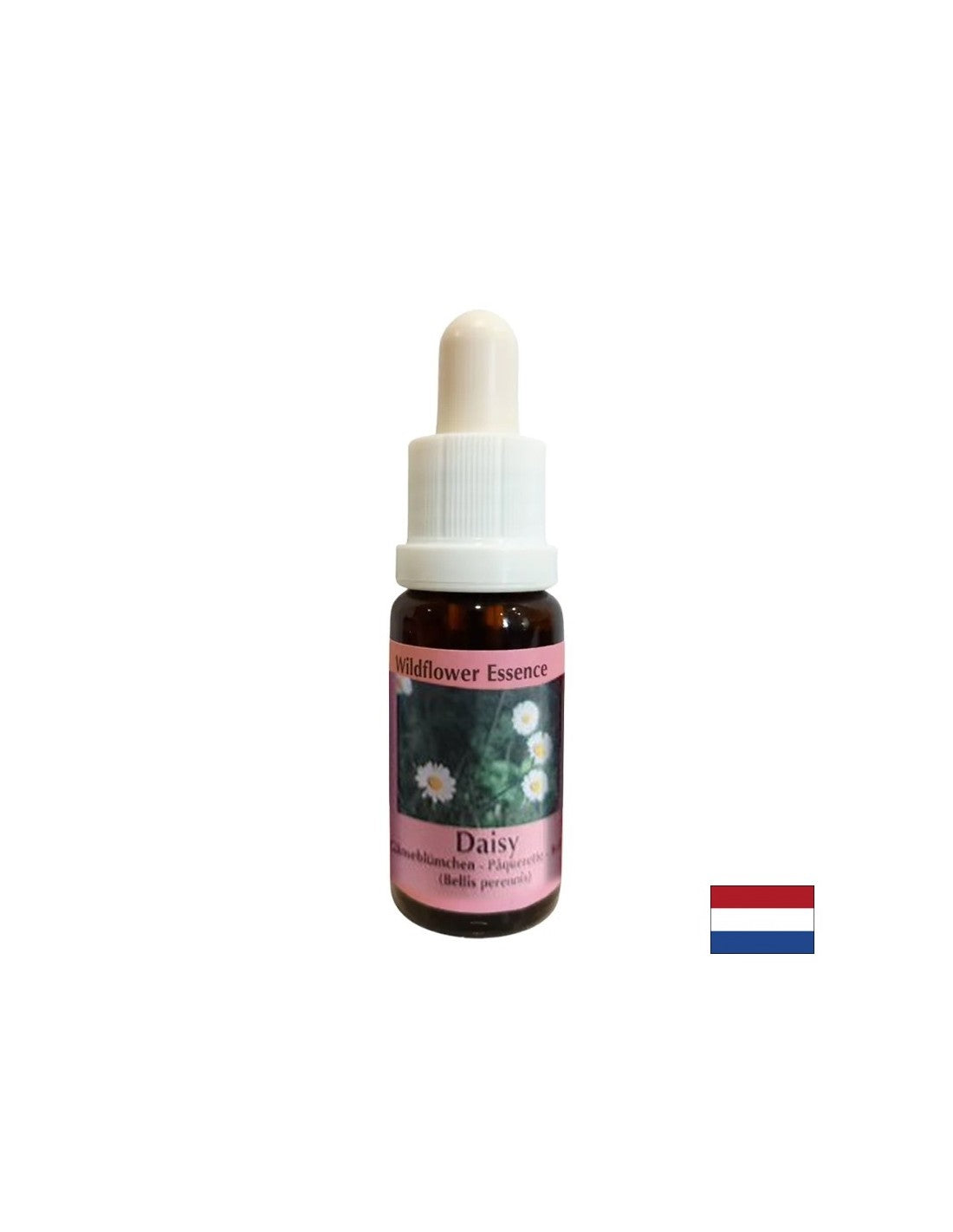Zvyšuje pamäť a kapacitu vzdelávania - spoločná Daisy Essence č. 26, klesne 15 ml