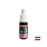 Zvyšuje pamäť a kapacitu vzdelávania - spoločná Daisy Essence č. 26, klesne 15 ml