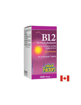 B12 metylkobalamín/vitamín B12 (metylkobalamín) 1000 µg, 90 sublingválnych tabliet <tc>Natural Factors</tc>