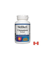 WellBetx® Cinnamon Extrakt 150 mg - 60 kapsúl