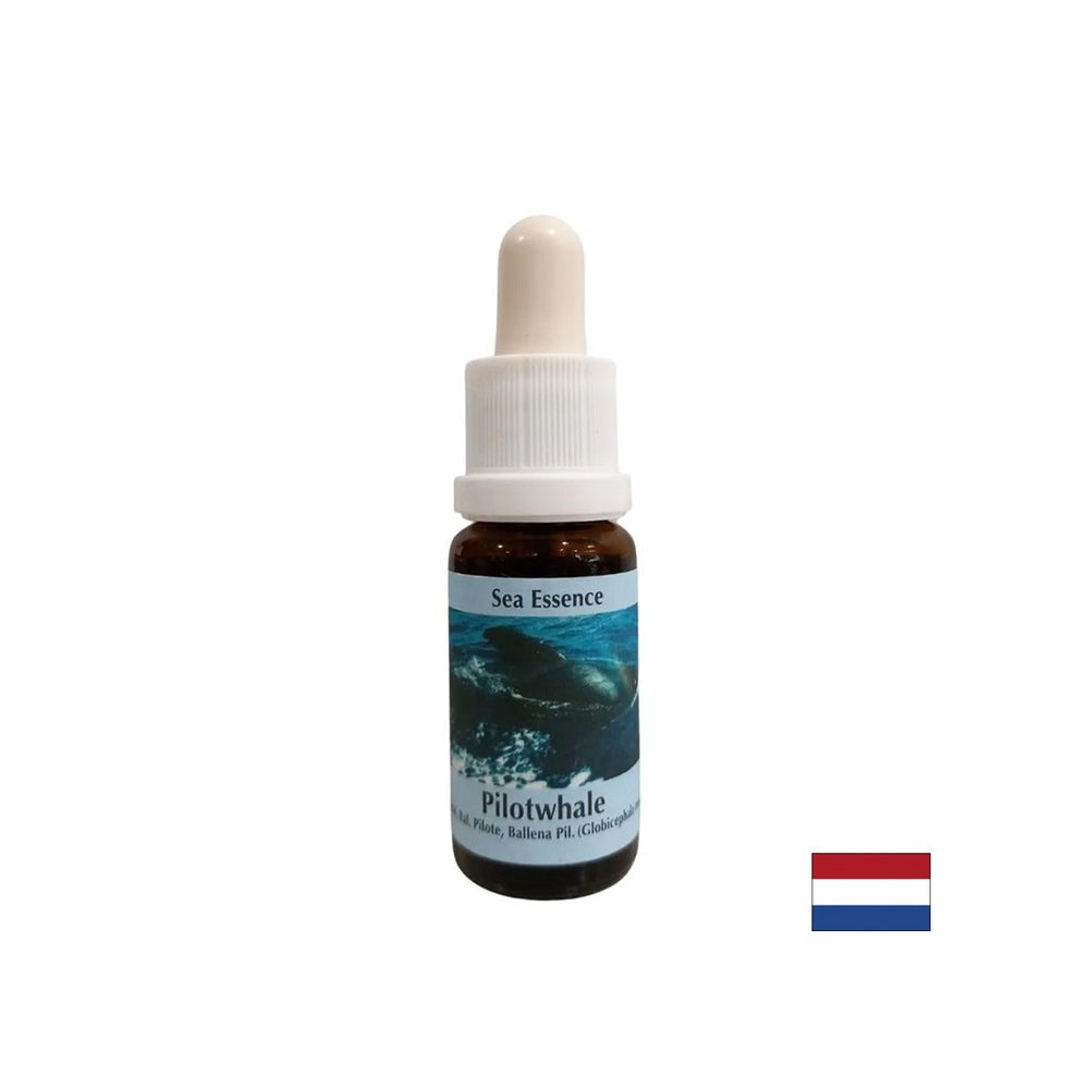 Pre meditáciu - Essence Black Grind No. 10, kvapky 15 ml