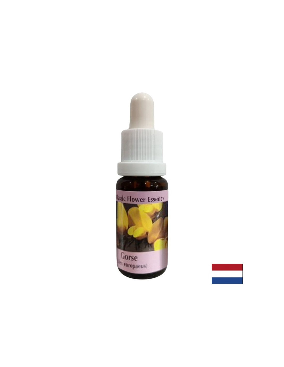 Pre nový začiatok - Essence Preshtip č. 13, klesne 15 ml