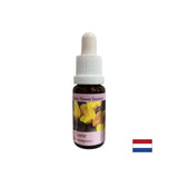 Pre nový začiatok - Essence Preshtip č. 13, klesne 15 ml
