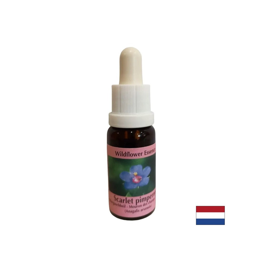 Pre sebaobjavenie a integráciu - Essence Poľh Fireweed č. 21, klesne 15 ml