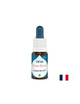 Pre verbálne vyjadrenie - Dogwood (antirhinum), Bach Drops, 15 ml