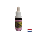 Energizes - Oak Essence č. 22, kvapky 15 ml